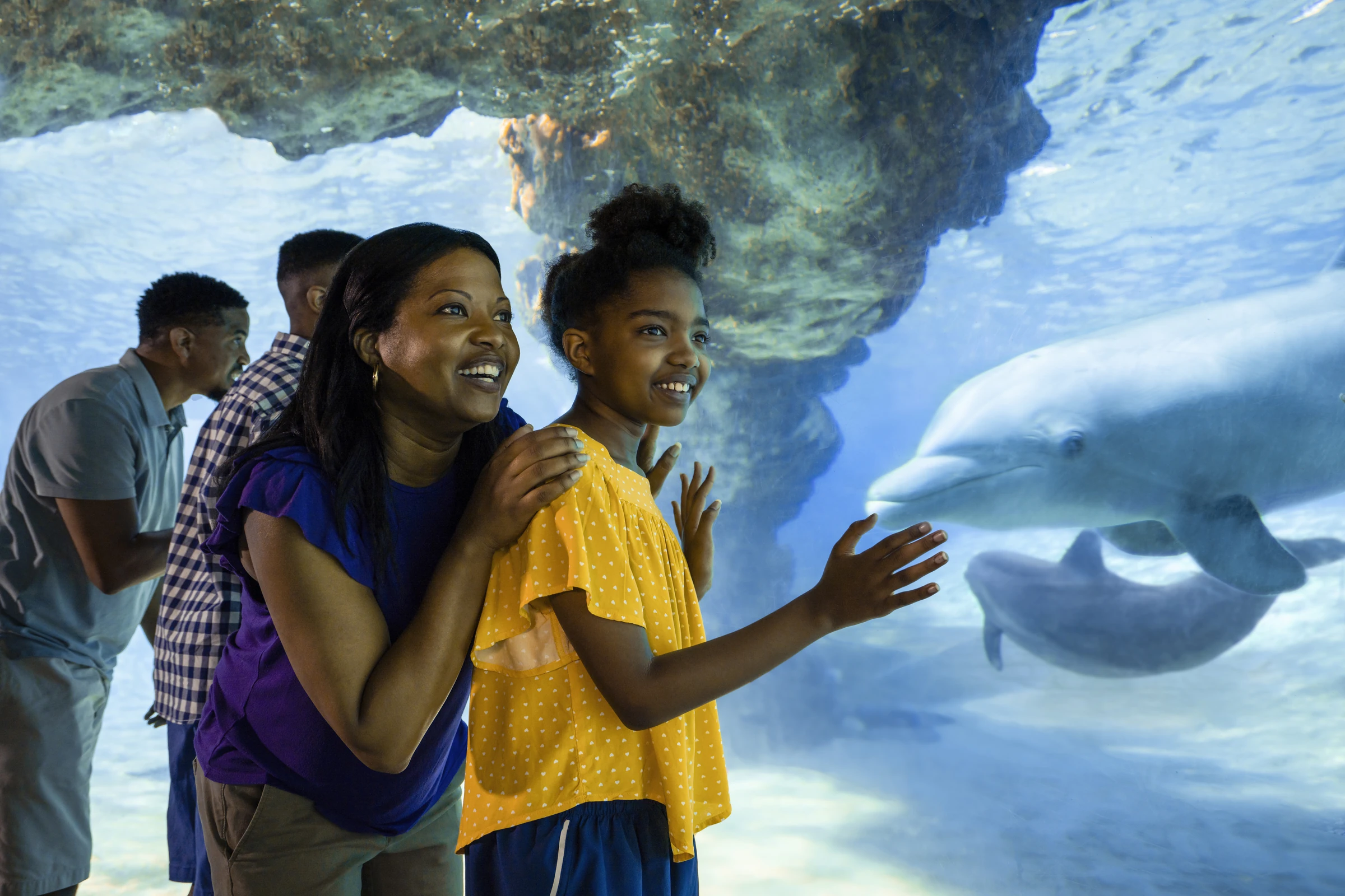 Smiling family watching dolphins swim underwater through a large aquarium window.