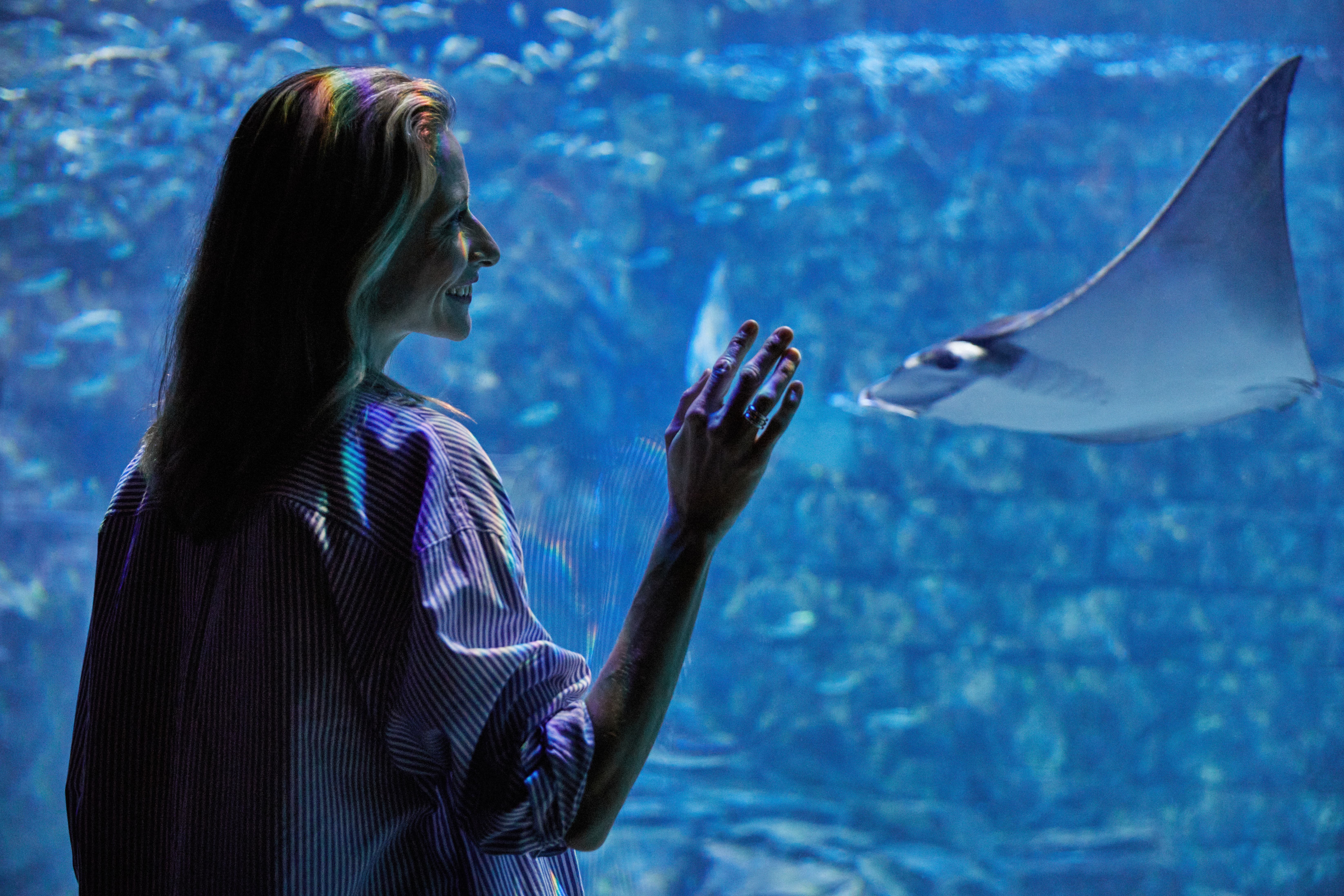 Woman smiling and raising hand toward a manta ray swimming in large aquarium tank.