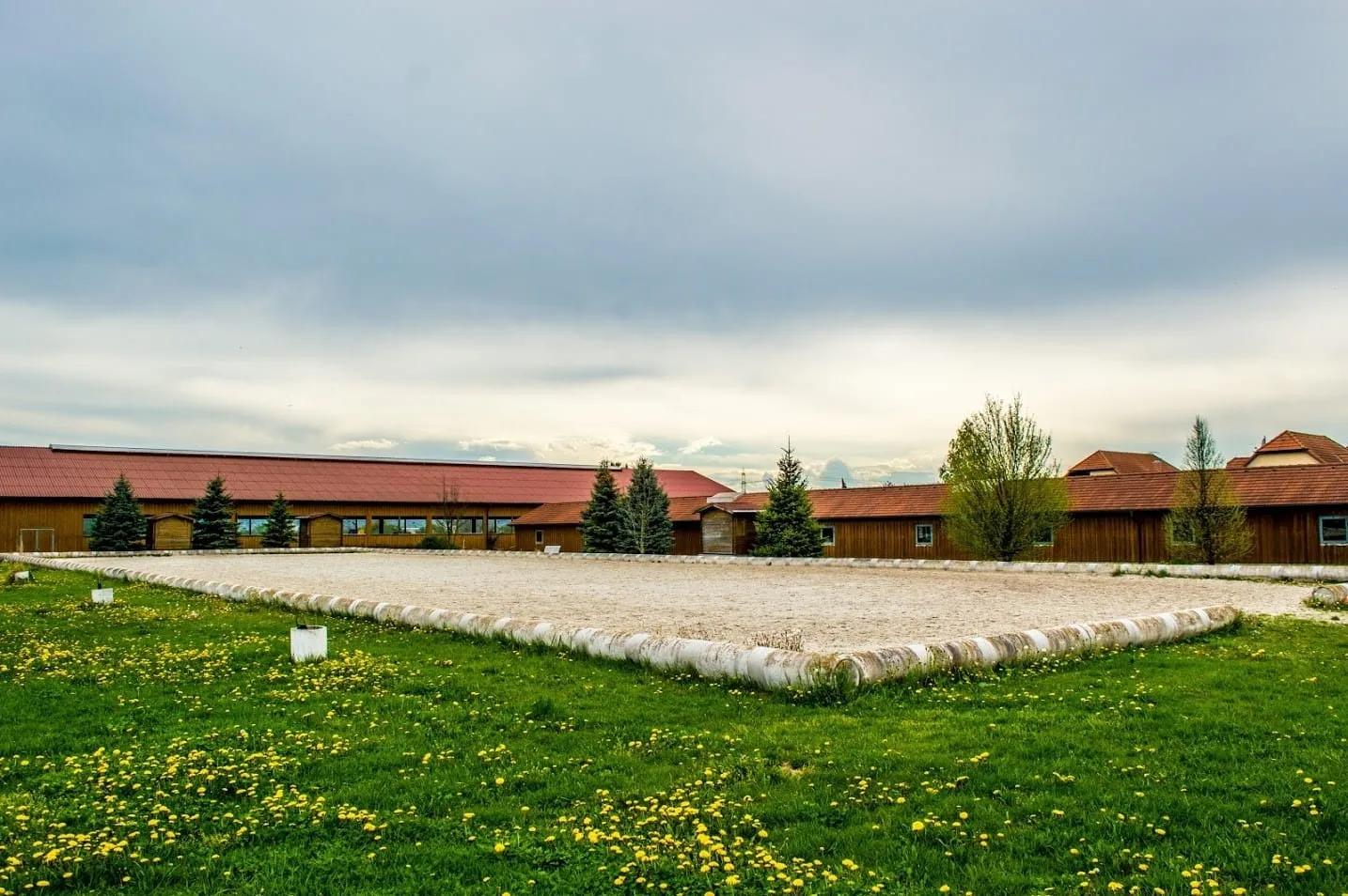 Dressurplatz mit Sandfläche, umgeben von Gras und gelben Blumen, Holzhäuser und Bäume im Hintergrund.