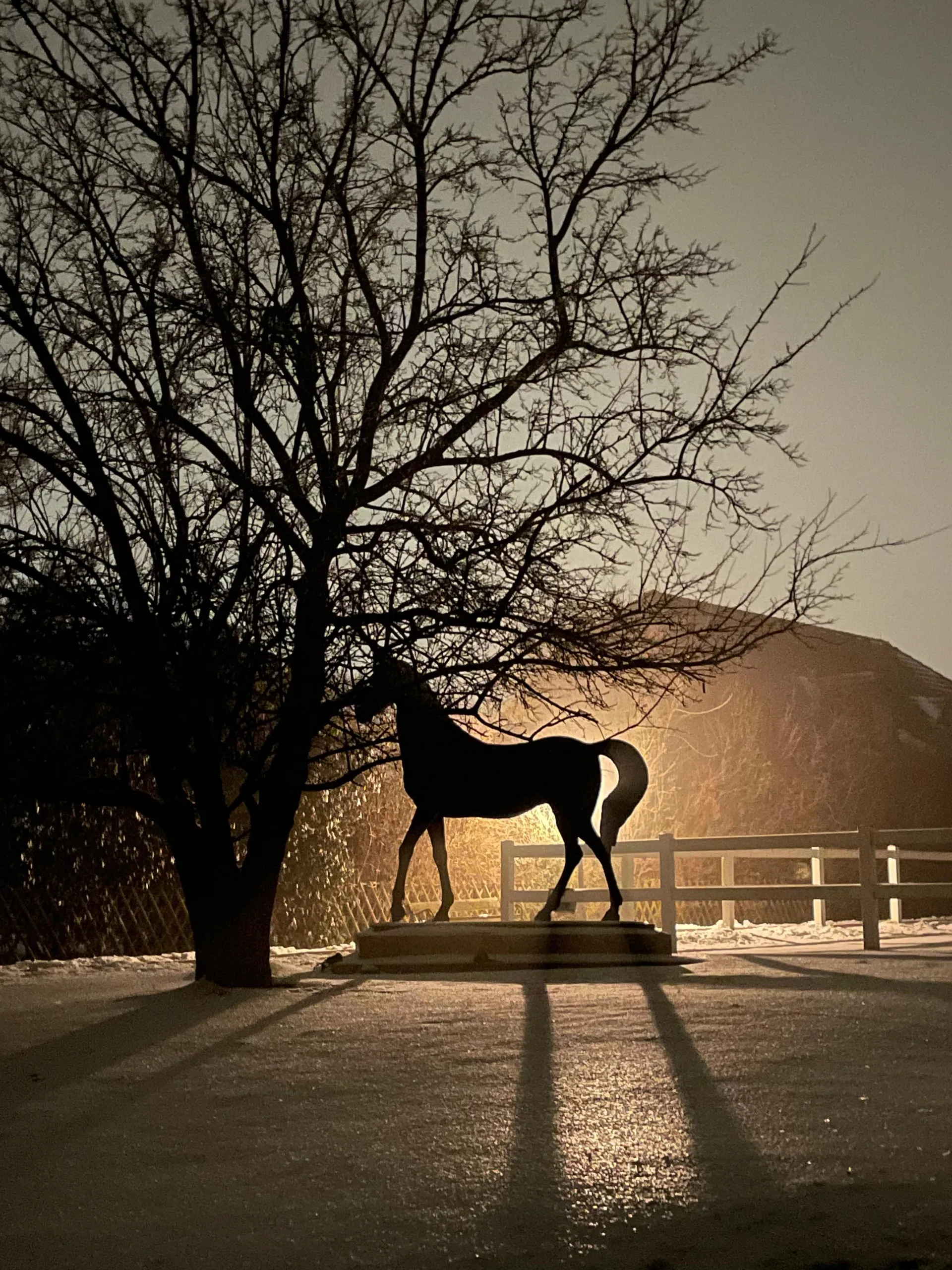 Schwarze Pferdestatue vor einem Baum mit Schatten auf schneebedecktem Boden bei Nacht.
