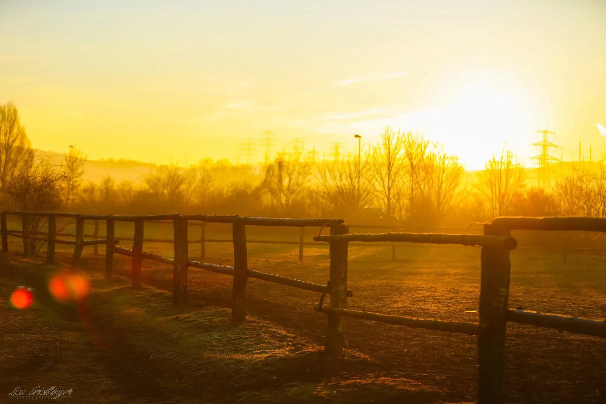 Sonnenaufgang über einem Feld mit Holzzaun und Bäumen im Nebel.