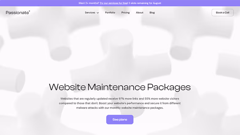 Pasionates Website Maintenance Packages