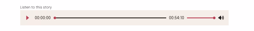 An image representing audio player controls and a progress bar.