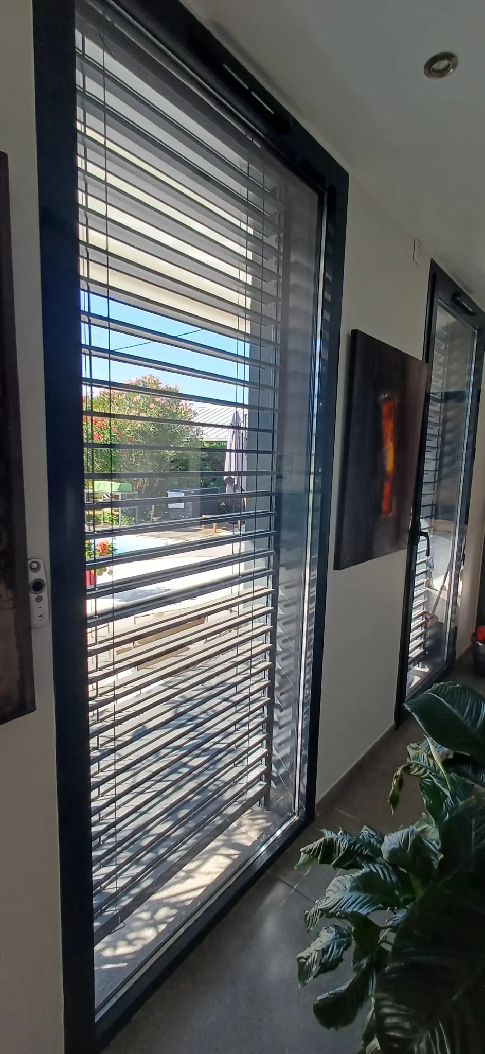 Fenêtre avec store vénitien, plante verte à l'intérieur et jardin avec piscine à l'extérieur.