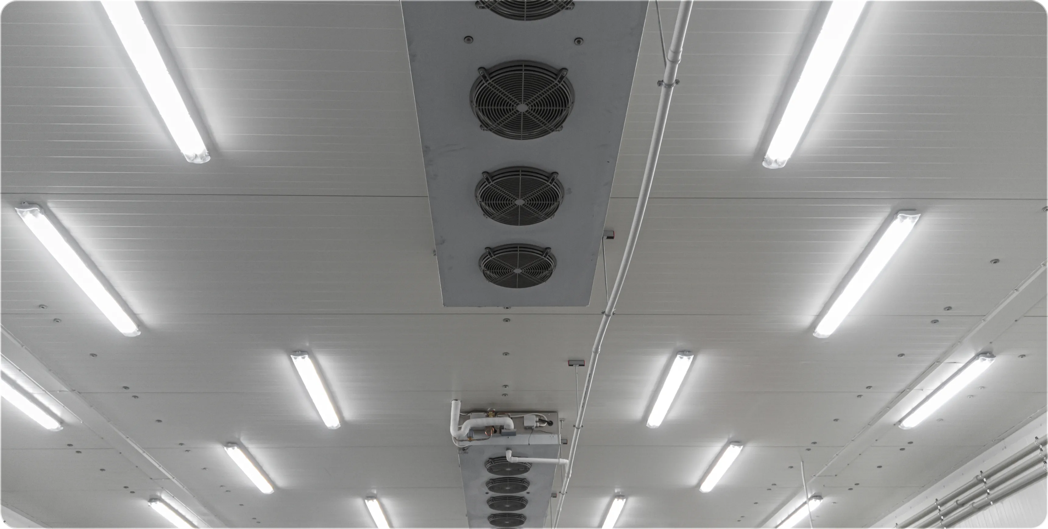Ceiling with multiple fluorescent lights and ventilation fans in a commercial space.
