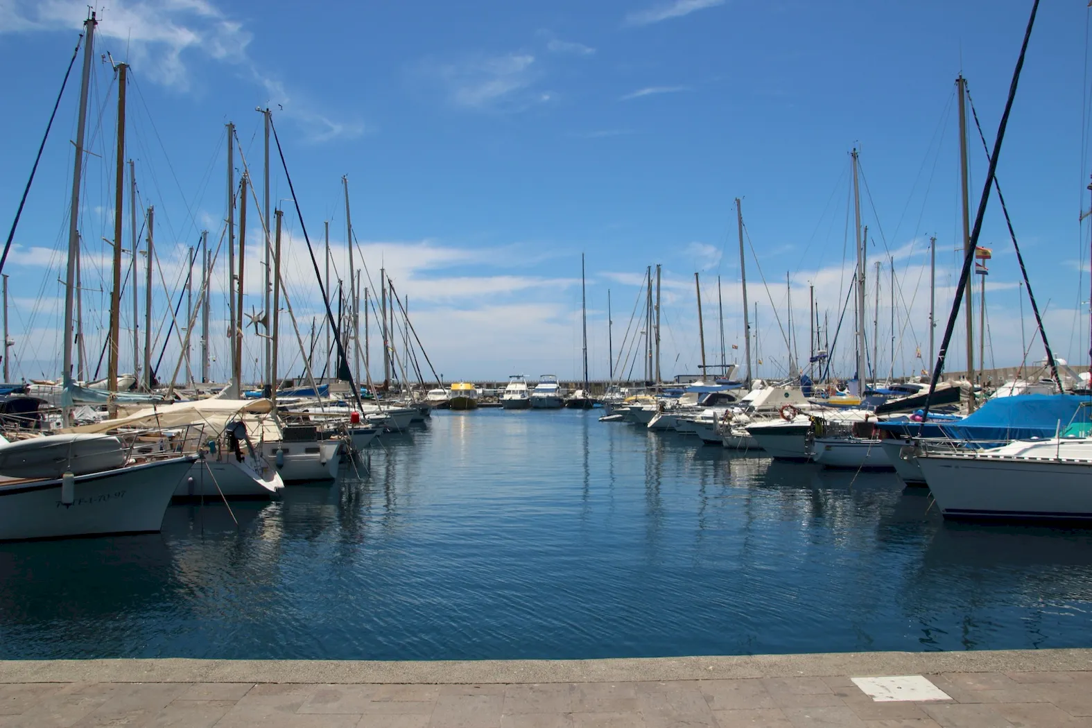 Boats docked at a marina