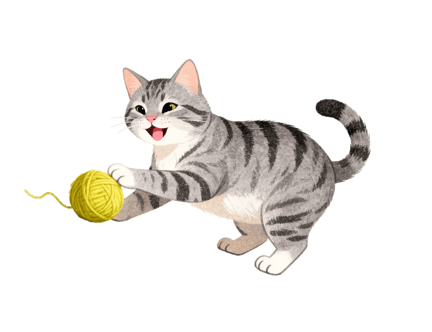 Productos de bienestar para gatos