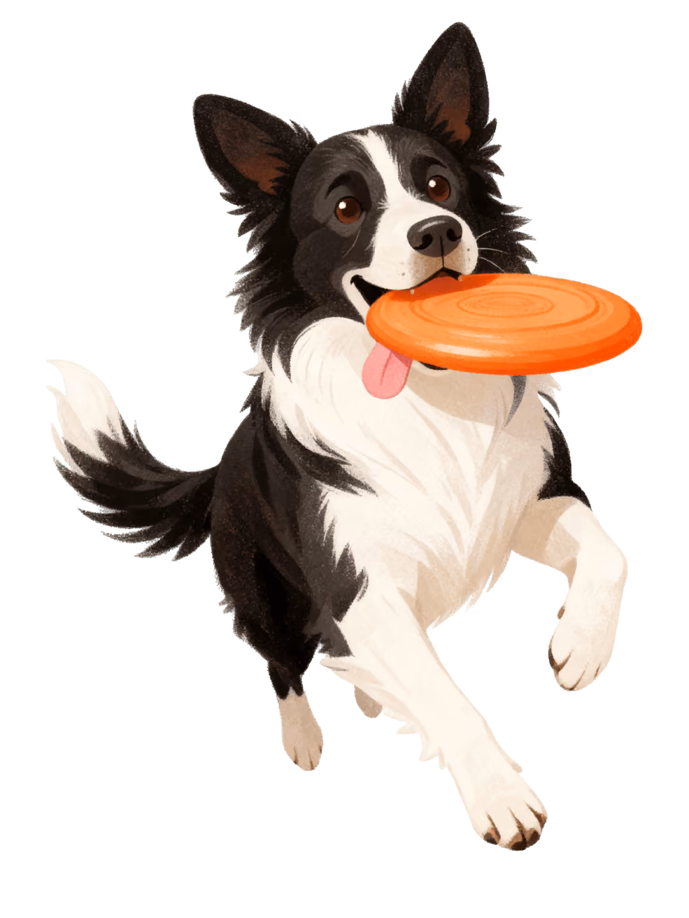 Productos de bienestar para perros