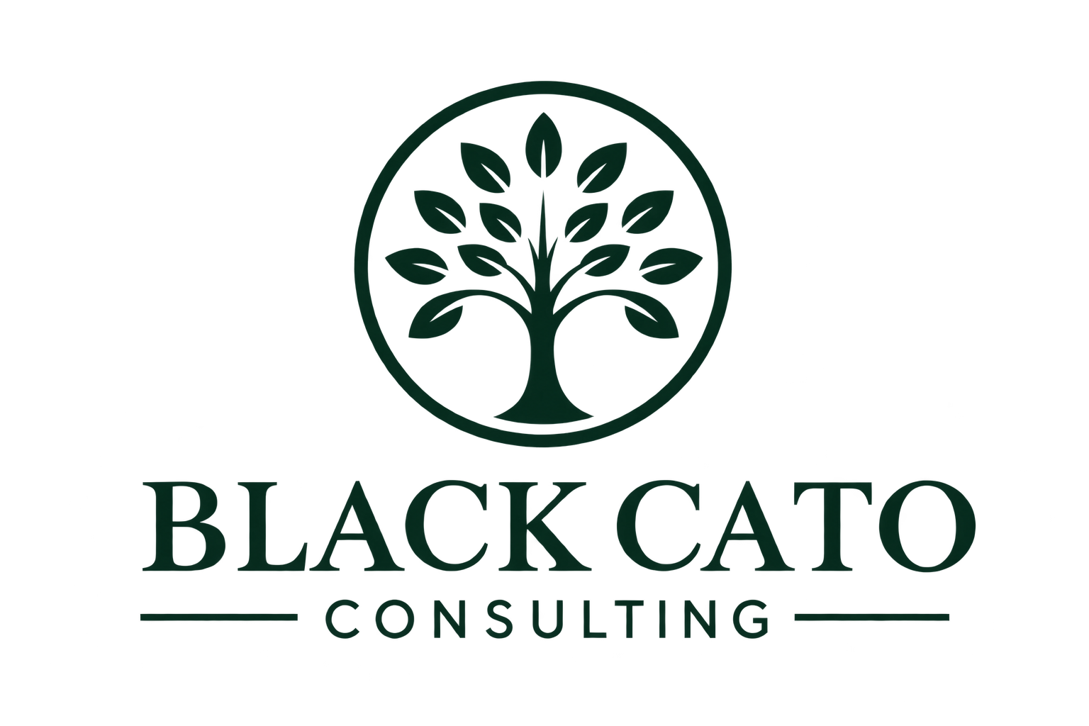 Black Cato Consulting