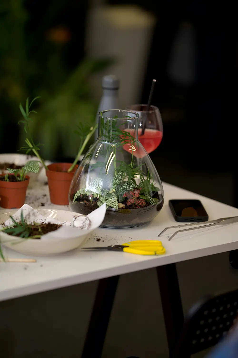 Un terrarium en verre contenant des plantes vertes et rouges, posé sur une table avec de la terre, des petits pots de plantes, une paire de ciseaux jaunes, une pince, un téléphone portable noir et un verre de boisson rose avec une paille.