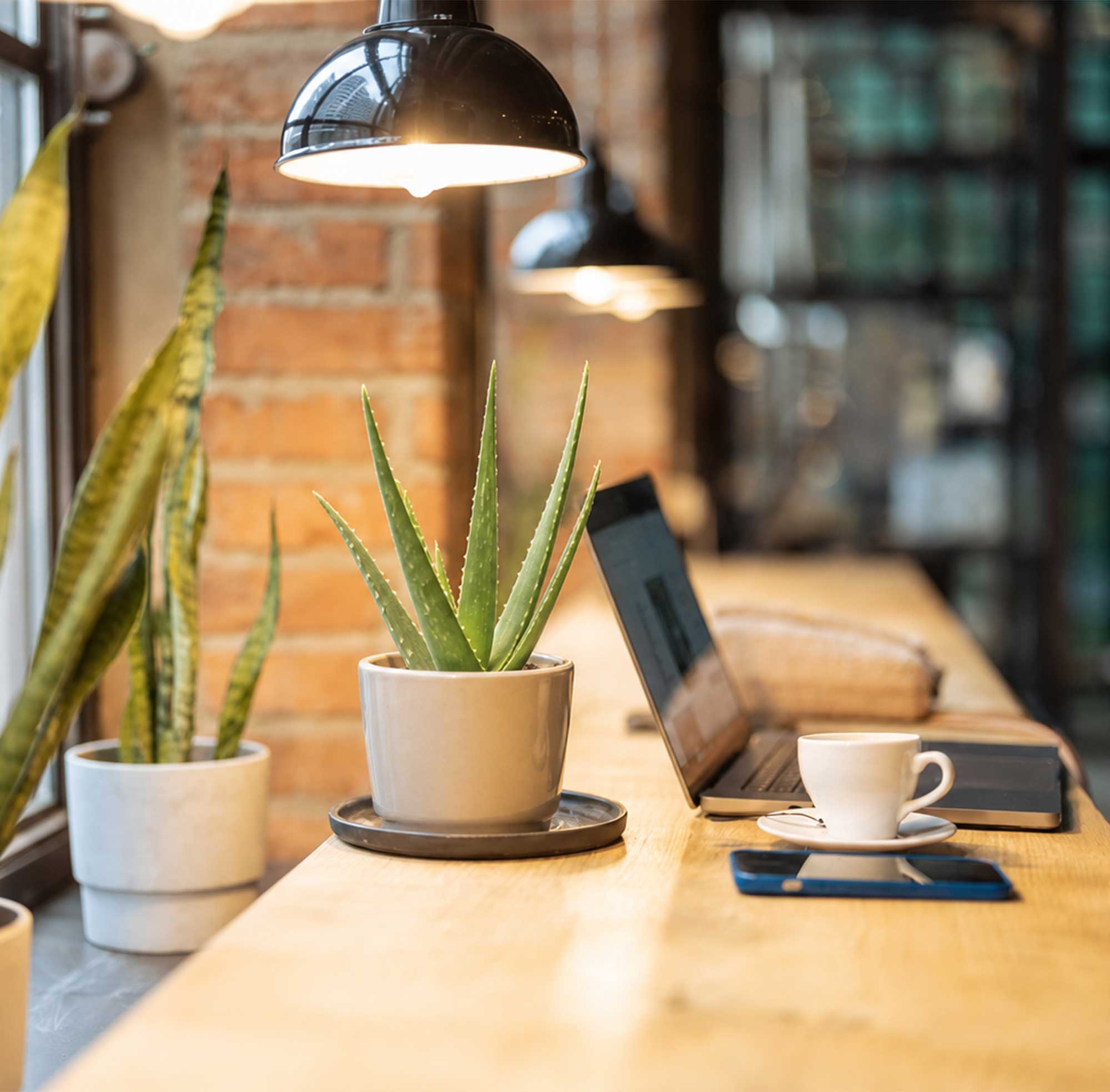 Expert Guidance Meets Your Financial Goals