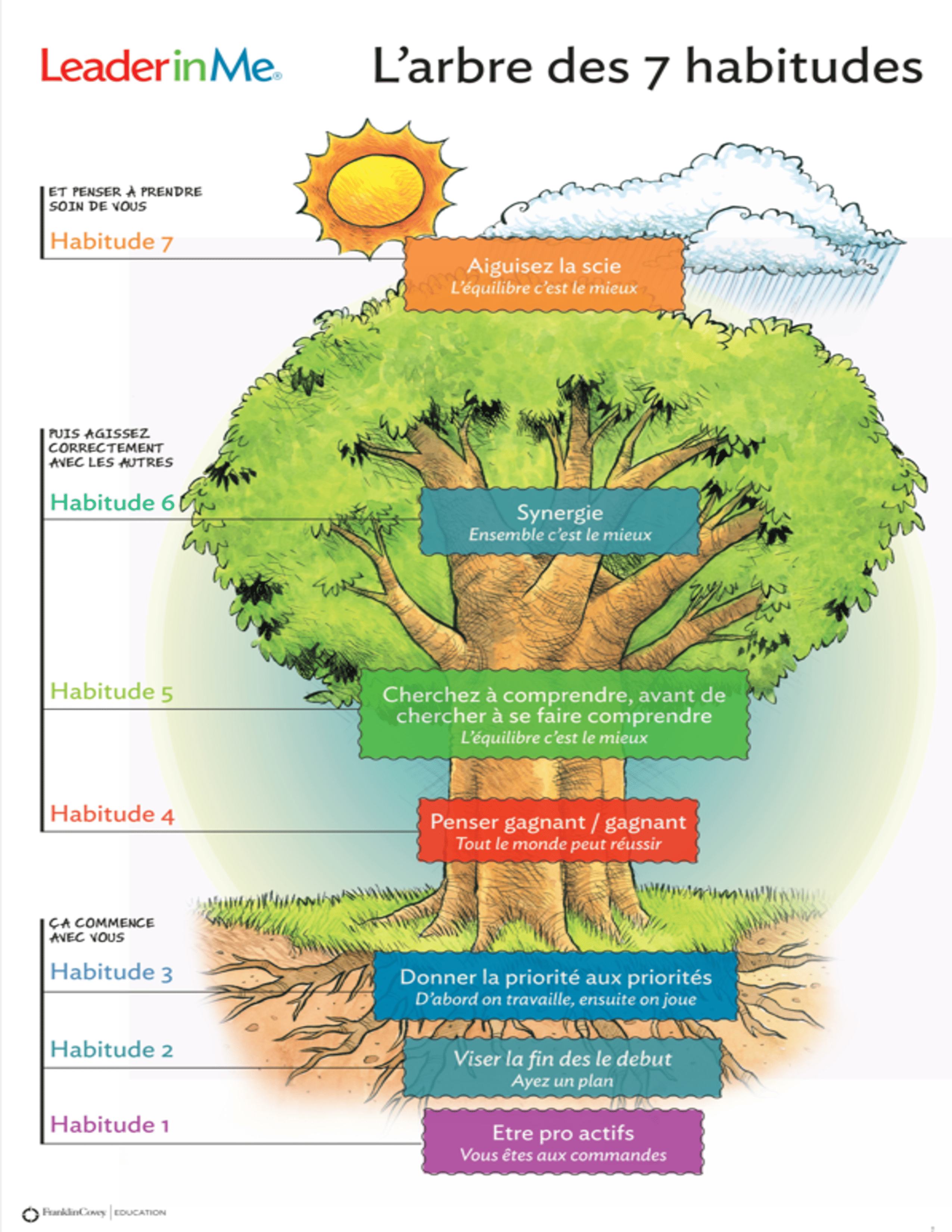 El Árbol de los 7 Hábitos en español