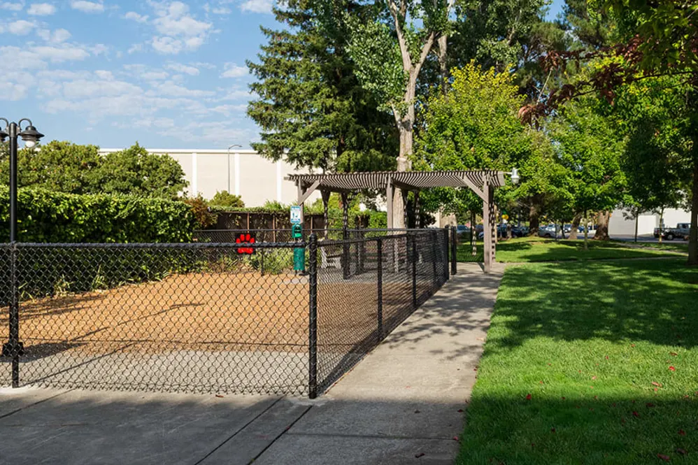 Bark Park