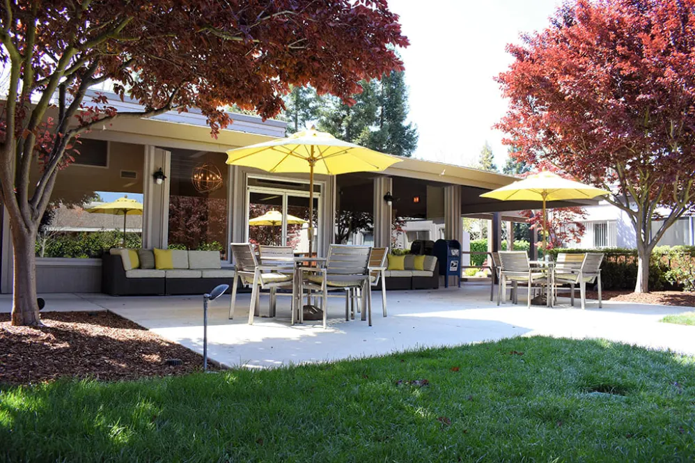 Outdoor area