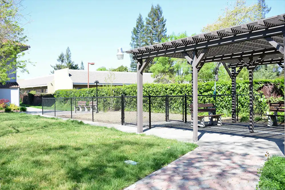 Outdoor area