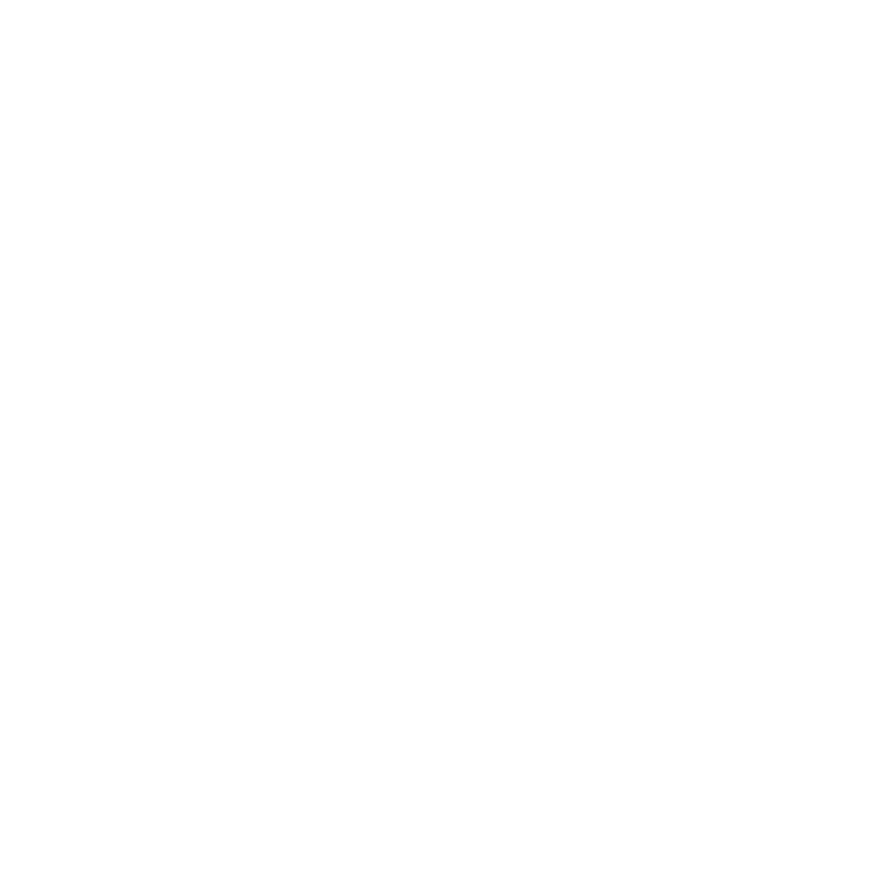 Rise Prep logo