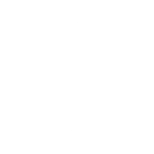 Social Icon