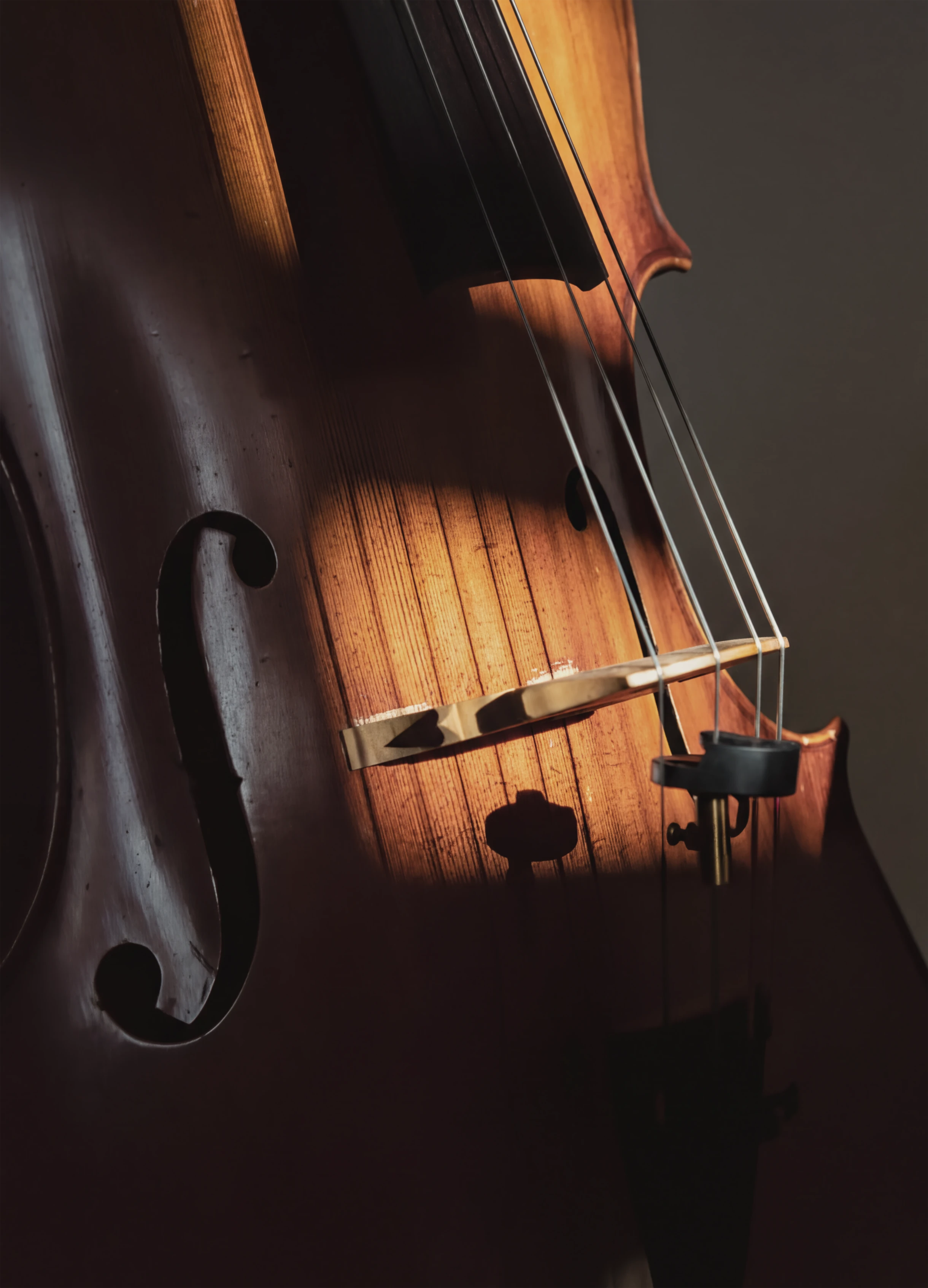 Close-up of a wooden cello's body, strings, and F-holes with warm light highlighting wood grain.