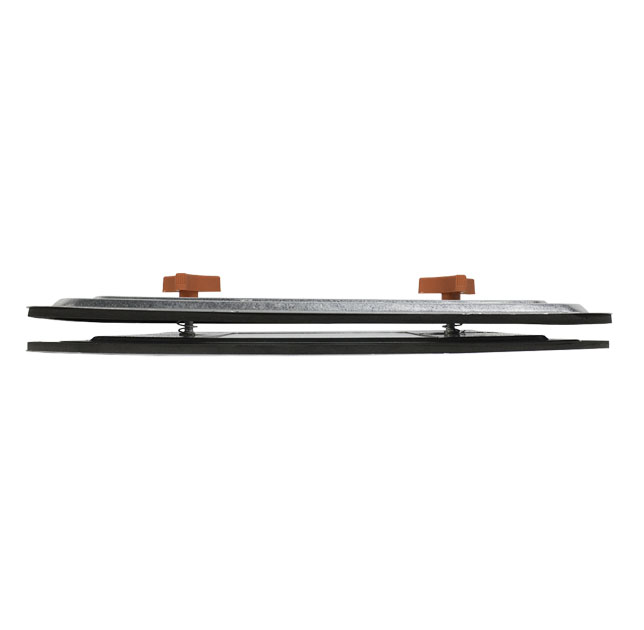 Observation Sandwich® Access Door