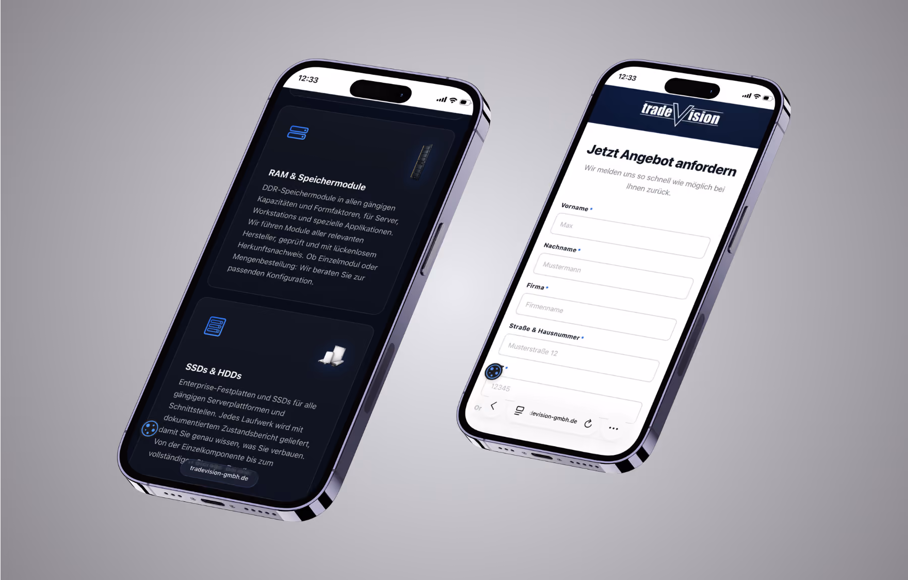 Screenshot der von Lars Thielen gestalteten Webseite f&uuml;r das IT-Handelsunternehmen tradevision f&uuml;r gebrauchte IT-Hardware, Ansicht aus dem Bereich &bdquo;Das Ziel&ldquo;