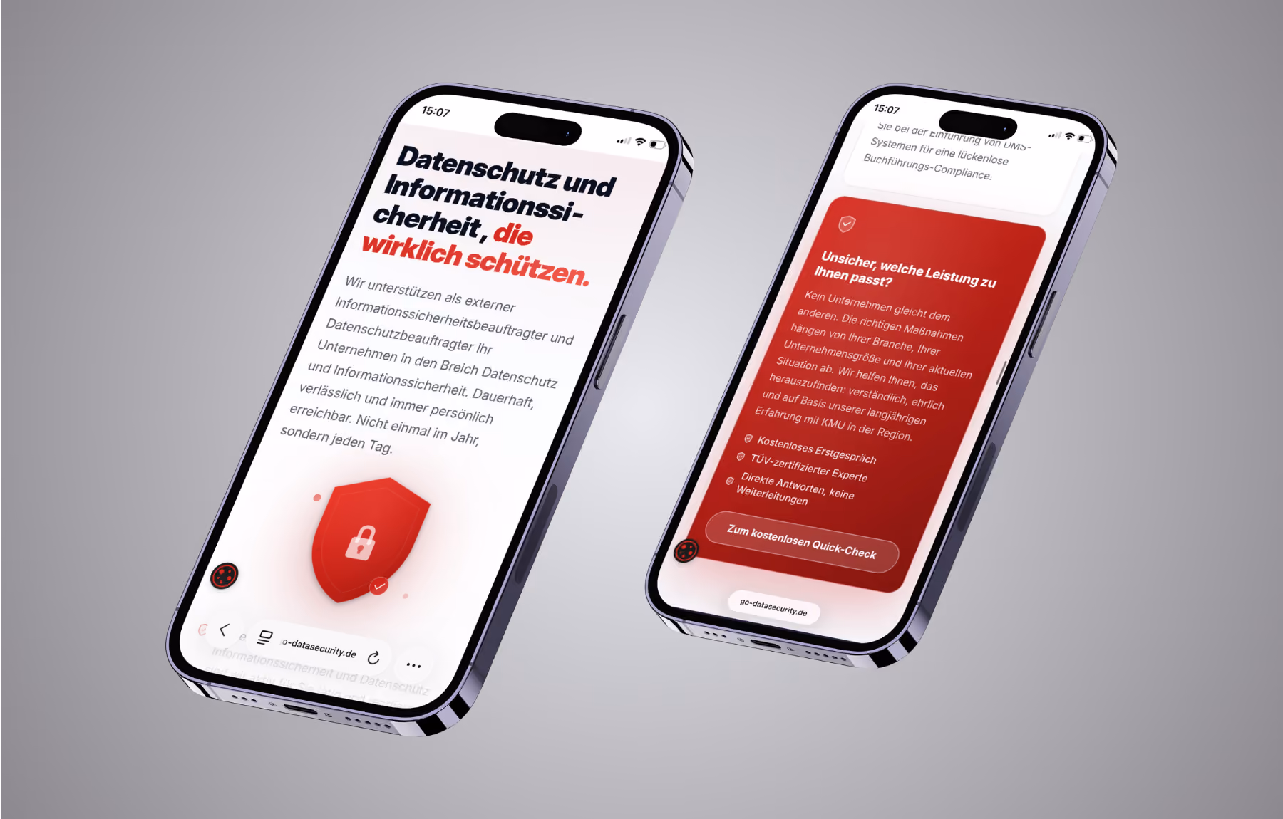 Screenshot der von Lars Thielen gestalteten Webseite f&uuml;r das Unternehmen GO Data Security f&uuml;r Datenschutz und Informationssicherheit, Ansicht aus dem Bereich &bdquo;Die Ausgangssituation&ldquo;