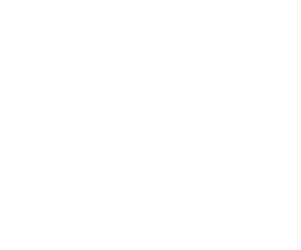 Hohensteion Consulting GmbH eine Firma betreut durch SHININGBYTES eine Werbeagentur aus Wien