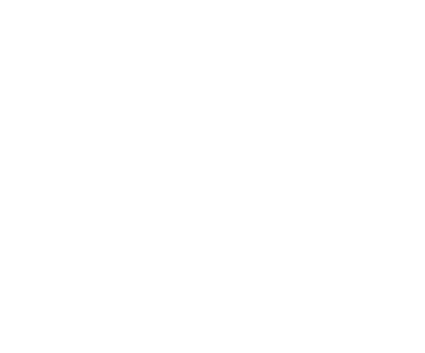 Hohensteion Consulting GmbH eine Firma betreut durch SHININGBYTES eine Werbeagentur aus Wien