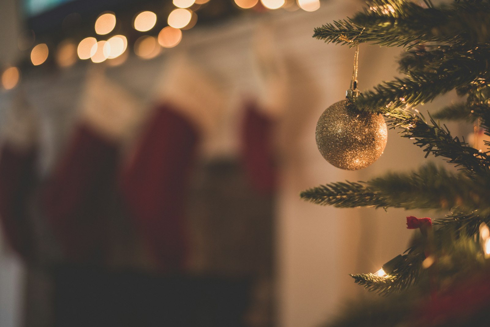 Winter Festival of Lights: Illumination Nights