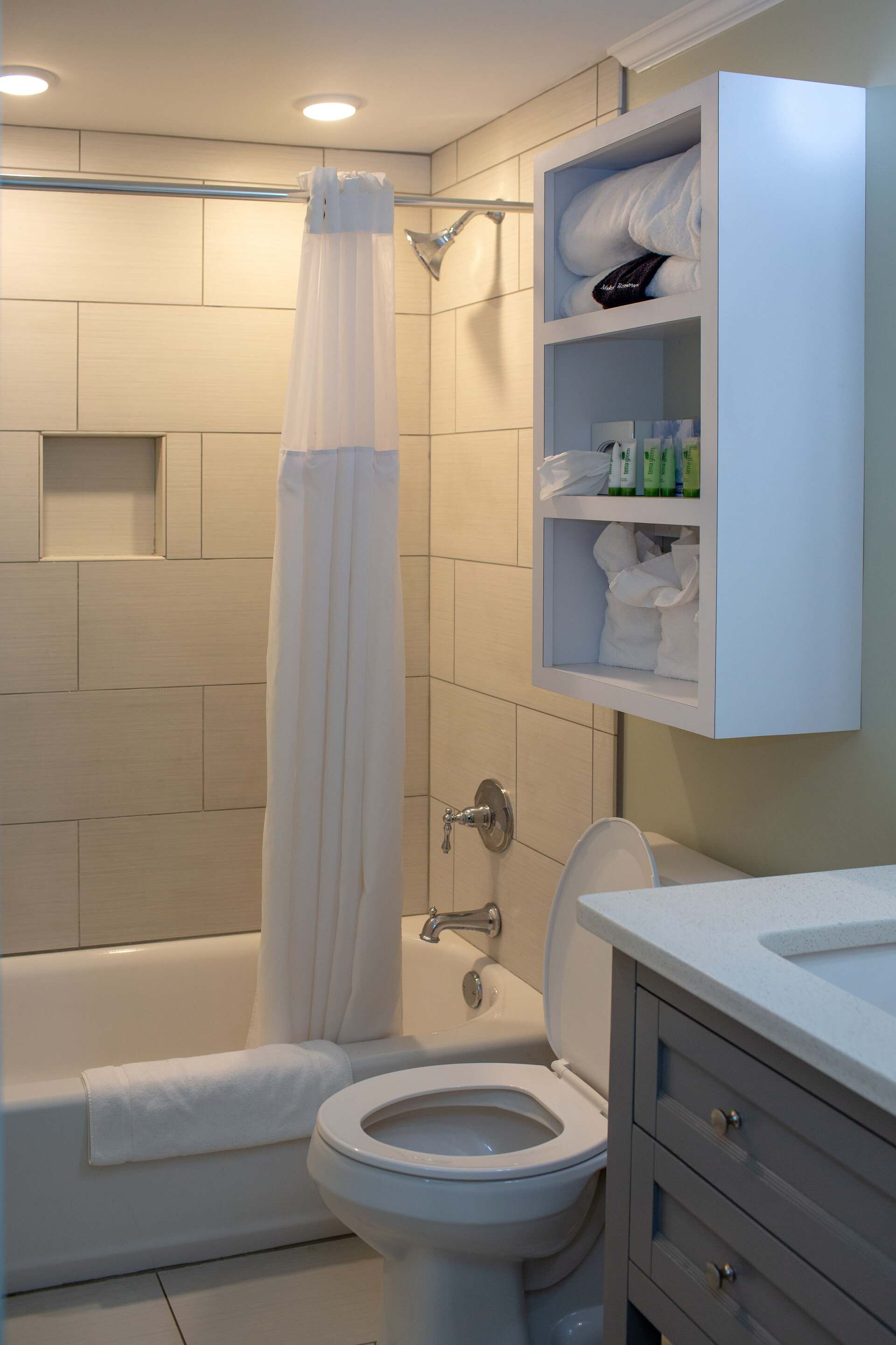 Premiere Suite skylight loft