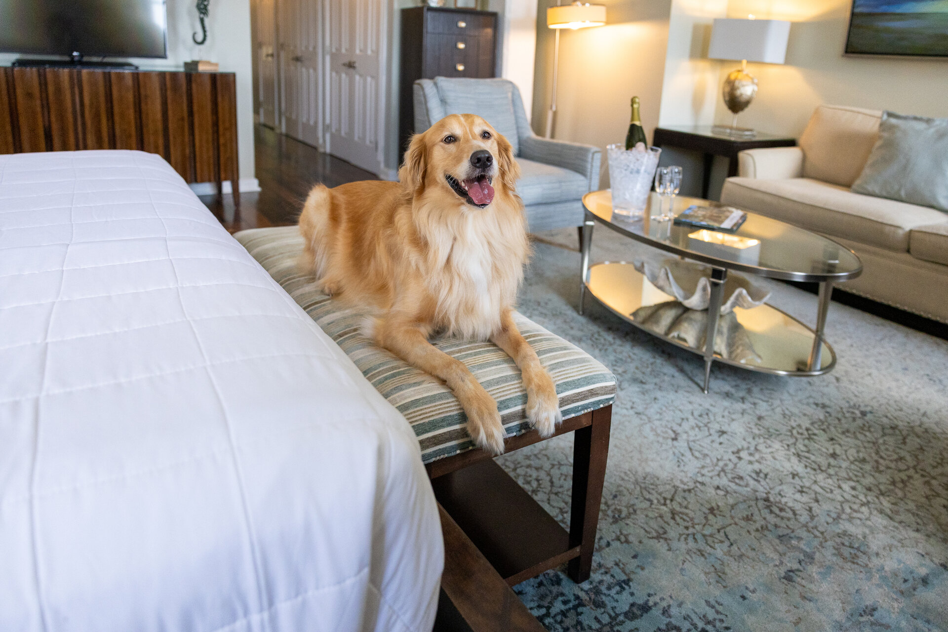 Premiere Balcony Suite