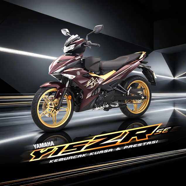 Yamaha Y15ZR SE main product image