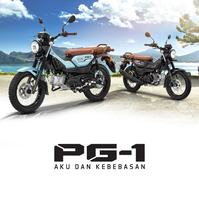Yamaha Y15ZR SE main product image