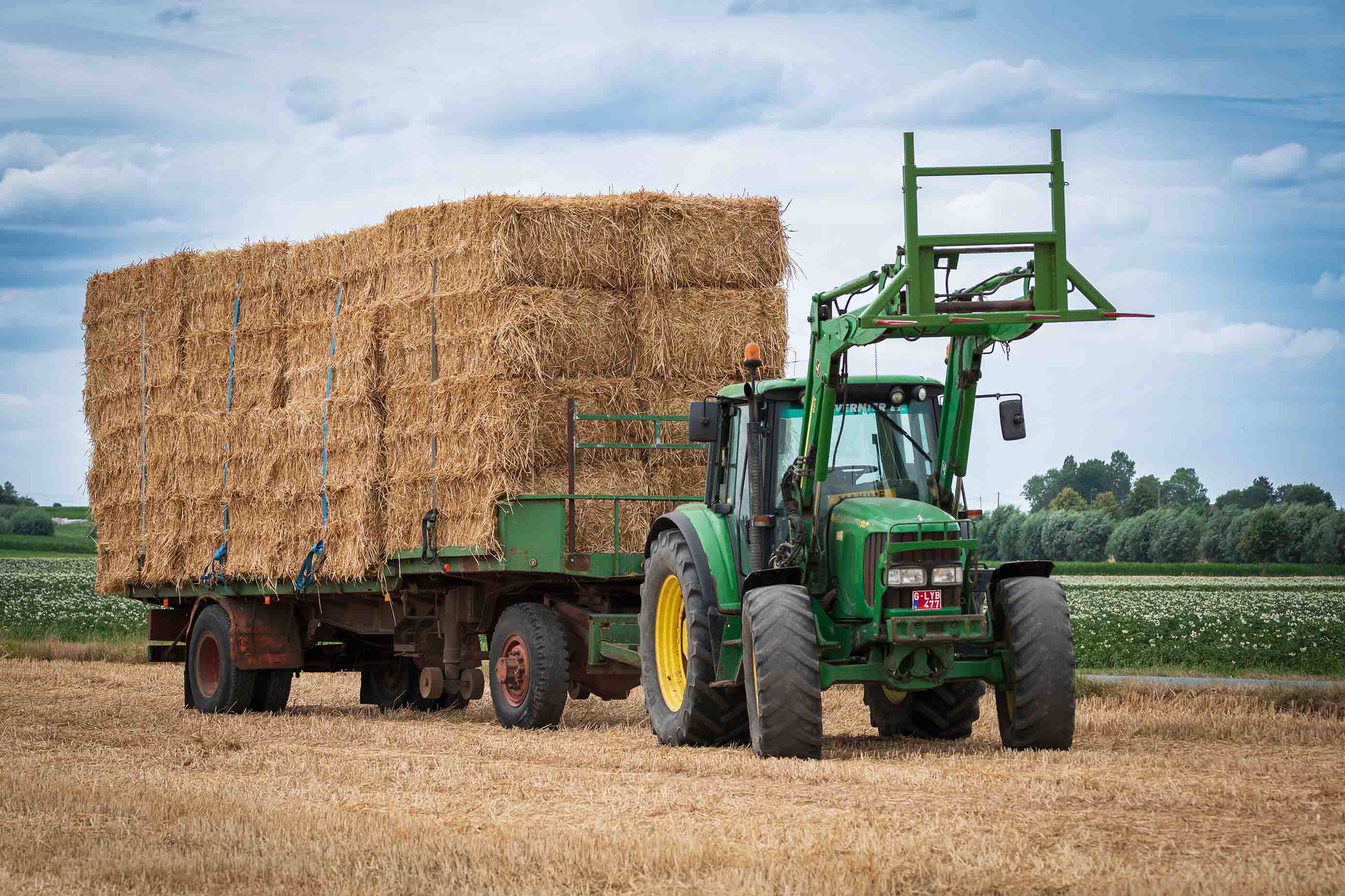 Ein Traktor mit Stroh am Anhänger fährt über ein Feld