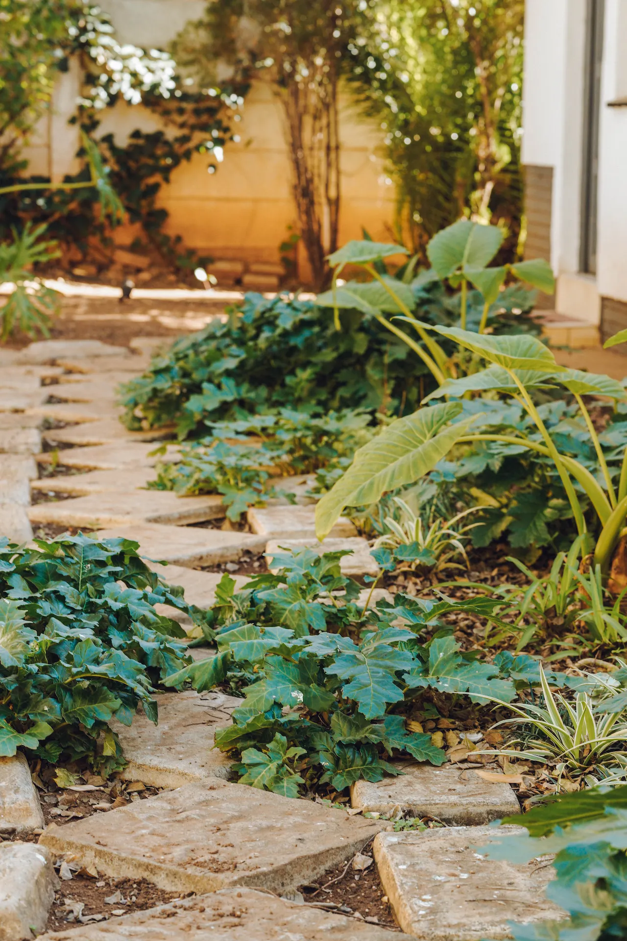 Stone path winding through garden with green leafy plants and sunlight filtering through trees in the back of the St. Joseph's Guest House garden. 