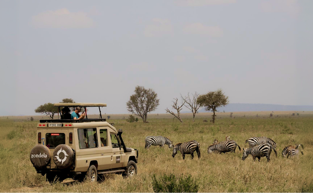 Safari vehicle watching zebras on the Serengeti plains