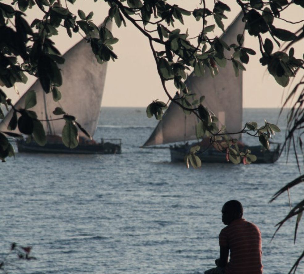 Safari and Beach getaway trip