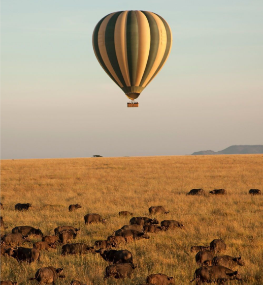 Full Safari Experience expedition