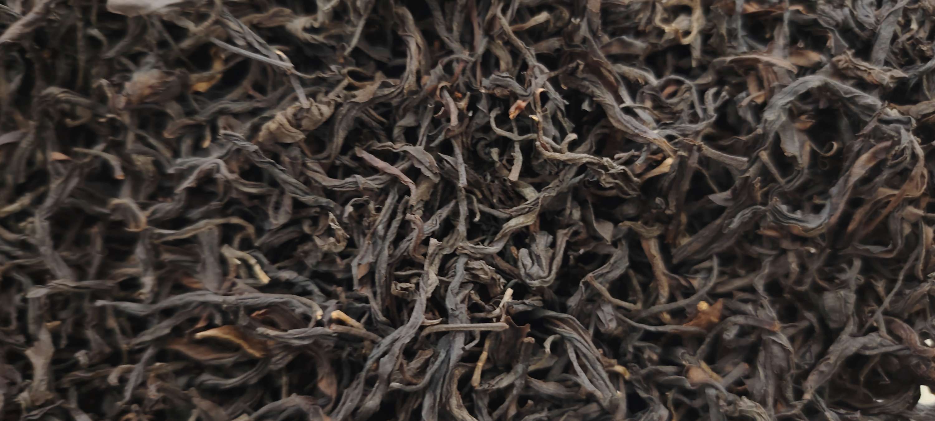 Close-up of loose South Indian black tea, tightly twisted dark leaves with occasional pale golden tips.