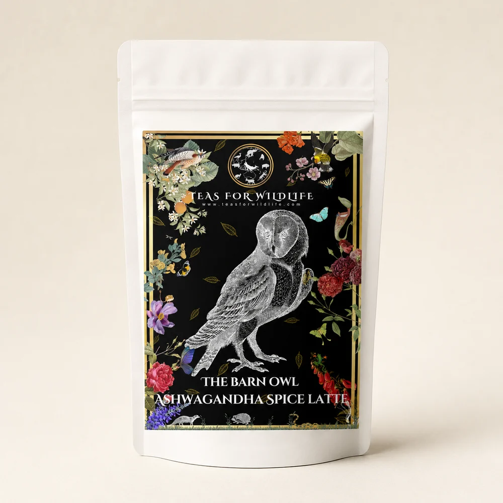 Ashwagandha Spice Chai Latte pack