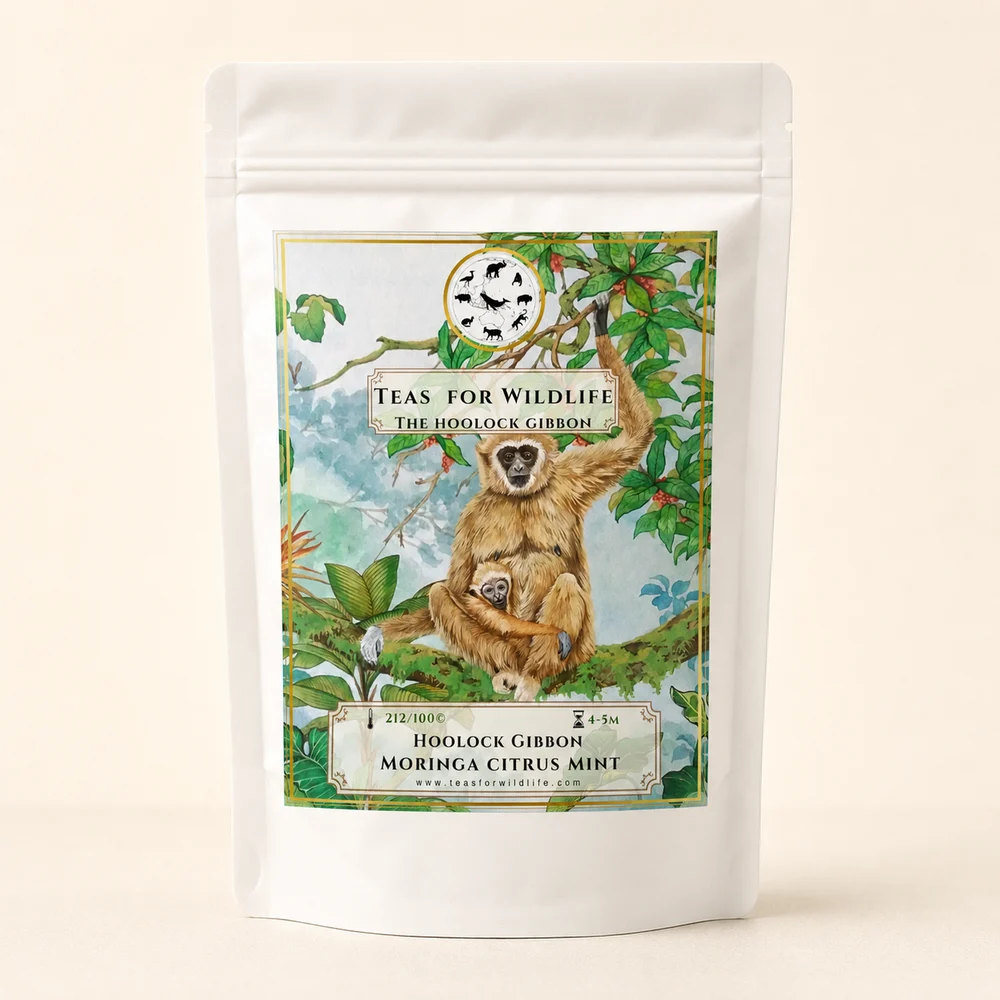 Moringa Citrus Mint Tea pack