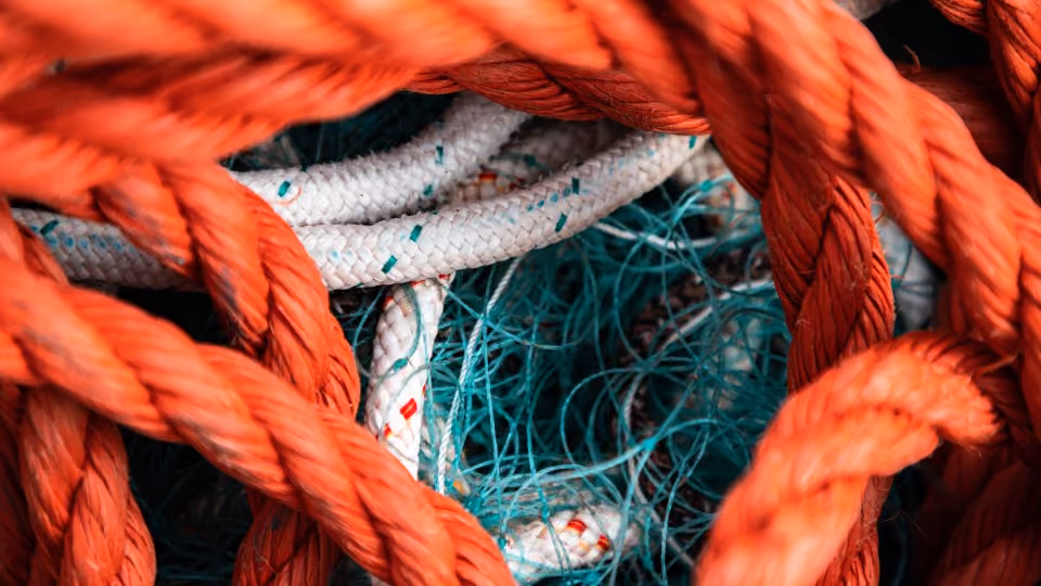 Shellfish supplier