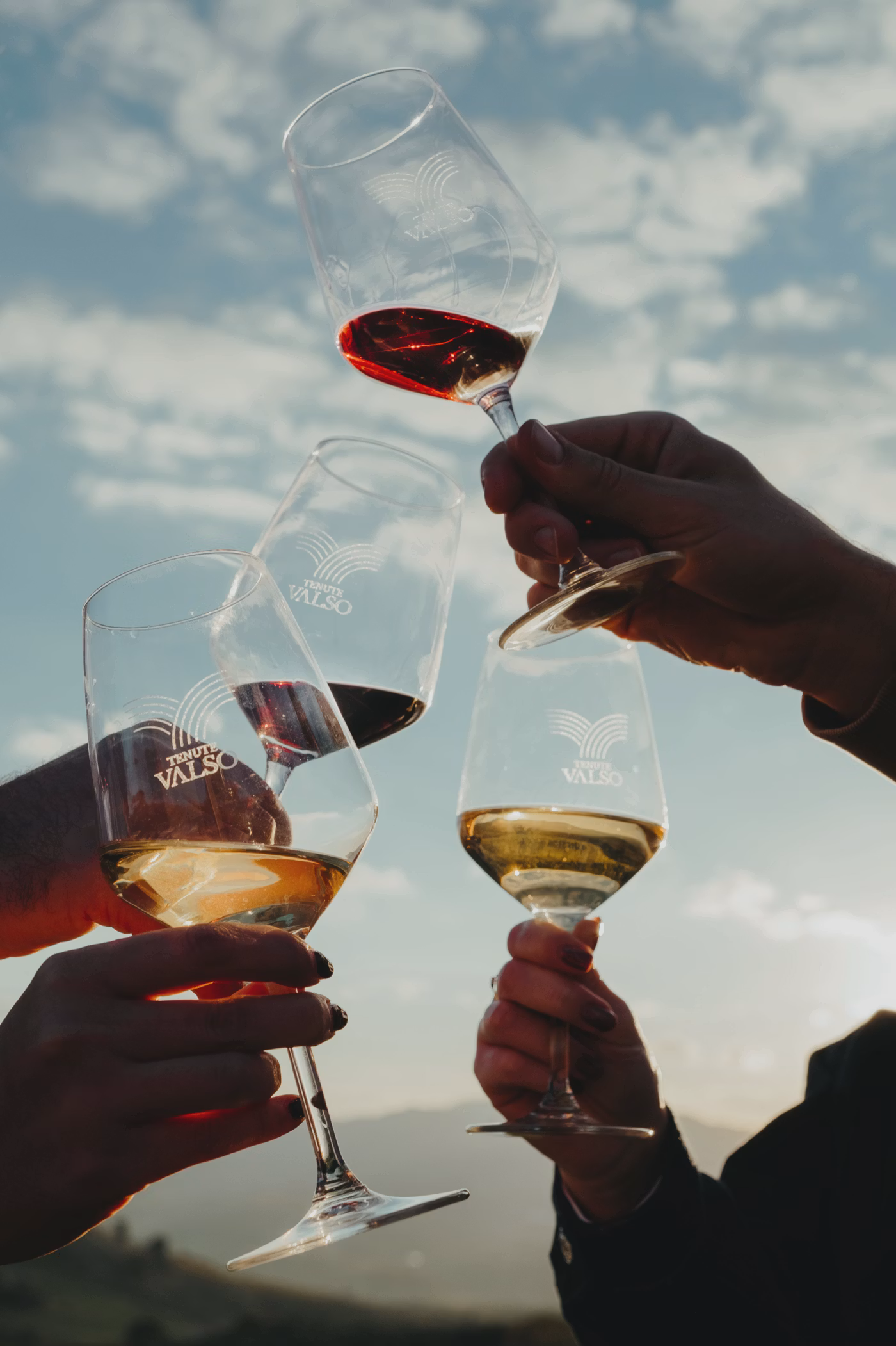 Quattro mani che brindano con calici di vino bianco e rosso contro un cielo nuvoloso.
