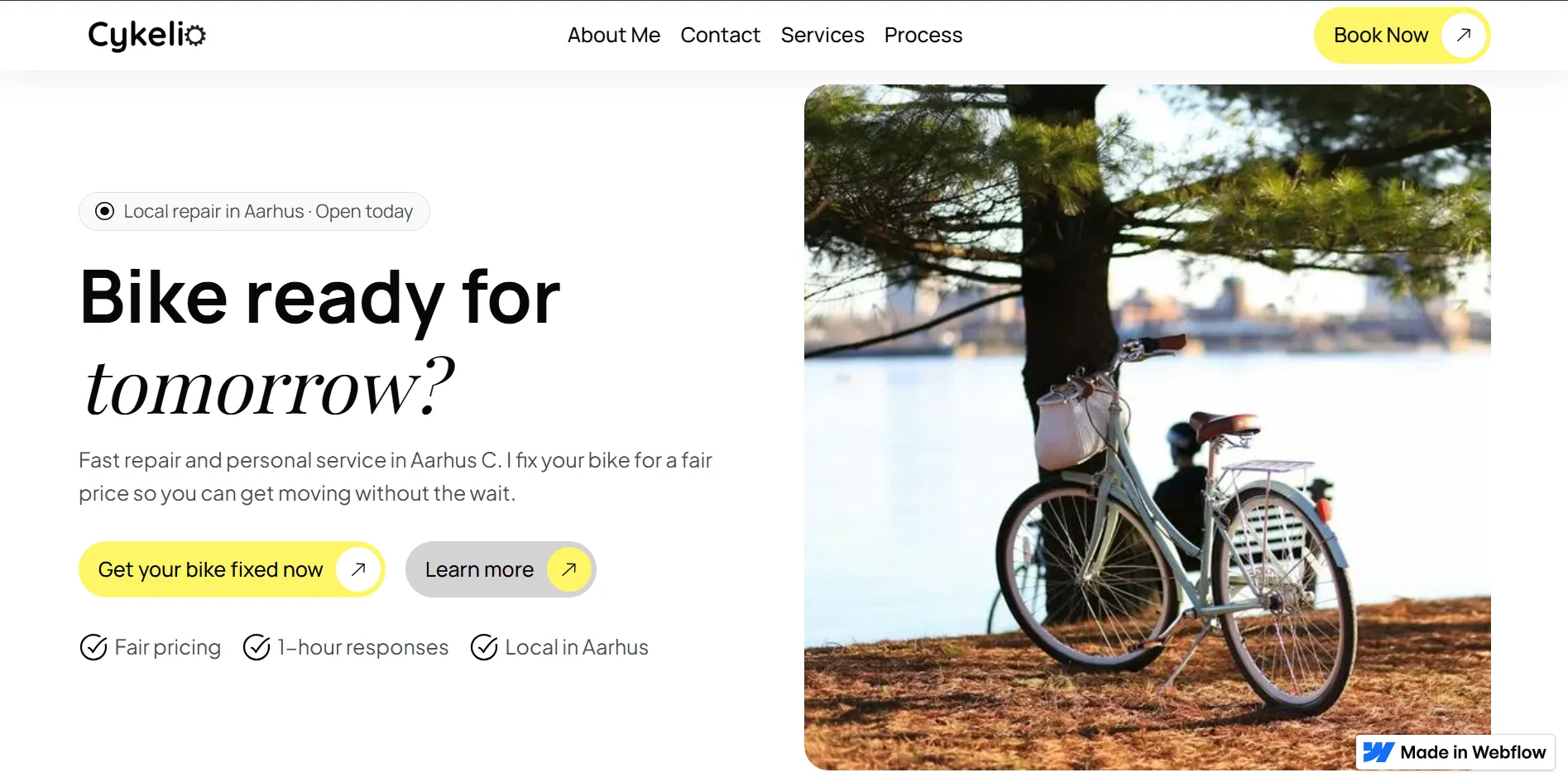 A photo of Cykelio website hero section