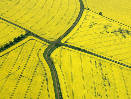Agriculture Ecosystem image Agricultural production landscape and food supply ecosystem
