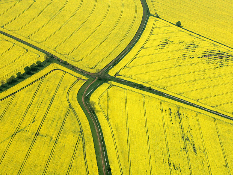 Agriculture Ecosystem image	Agricultural production landscape and food supply ecosystem