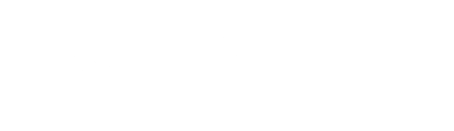 Şişecam company logo with stylized diagonal lines to the left of the name.