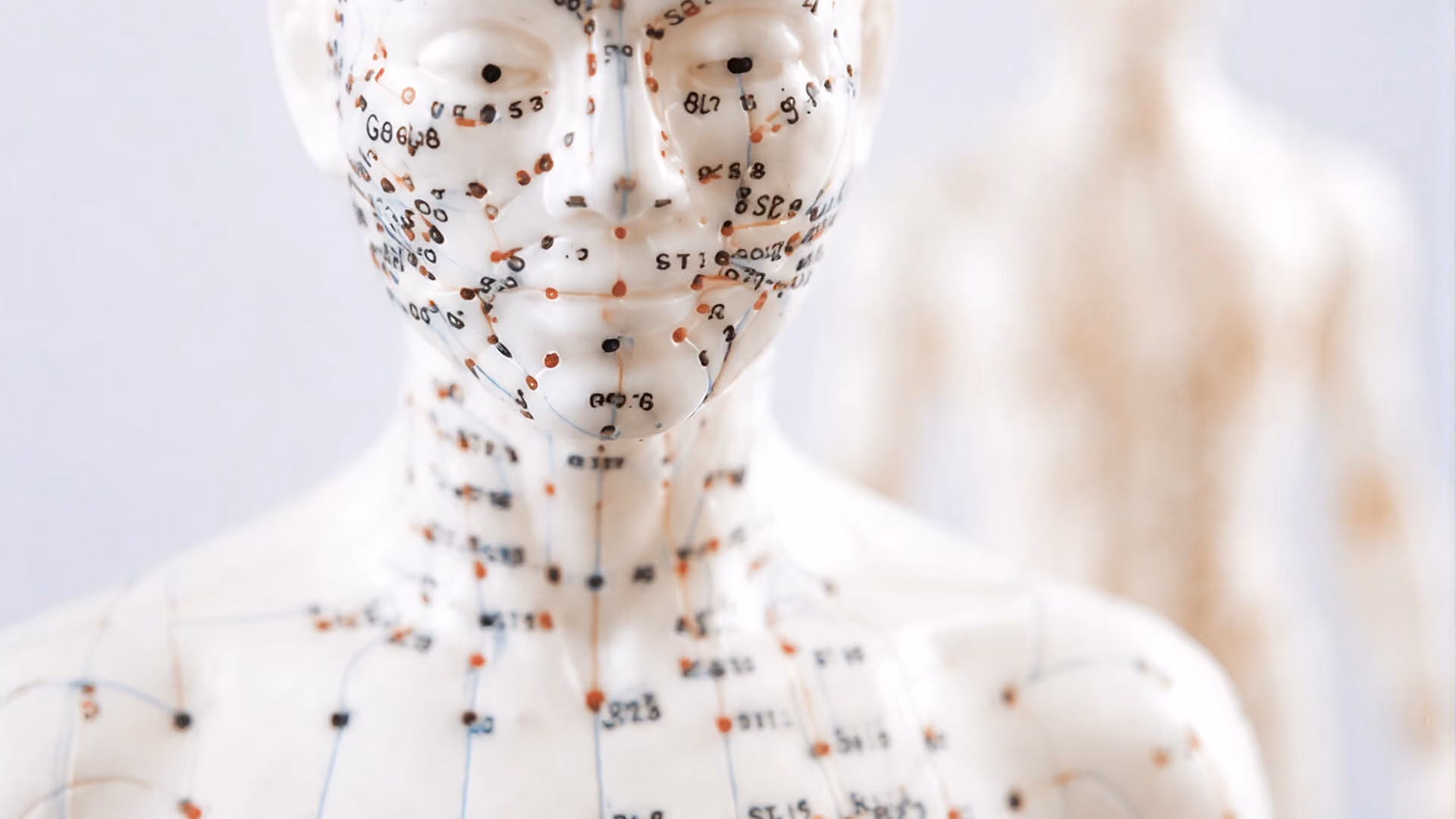 Médecin appliquant une aiguille d’acupuncture sur l’épaule d’un patient.