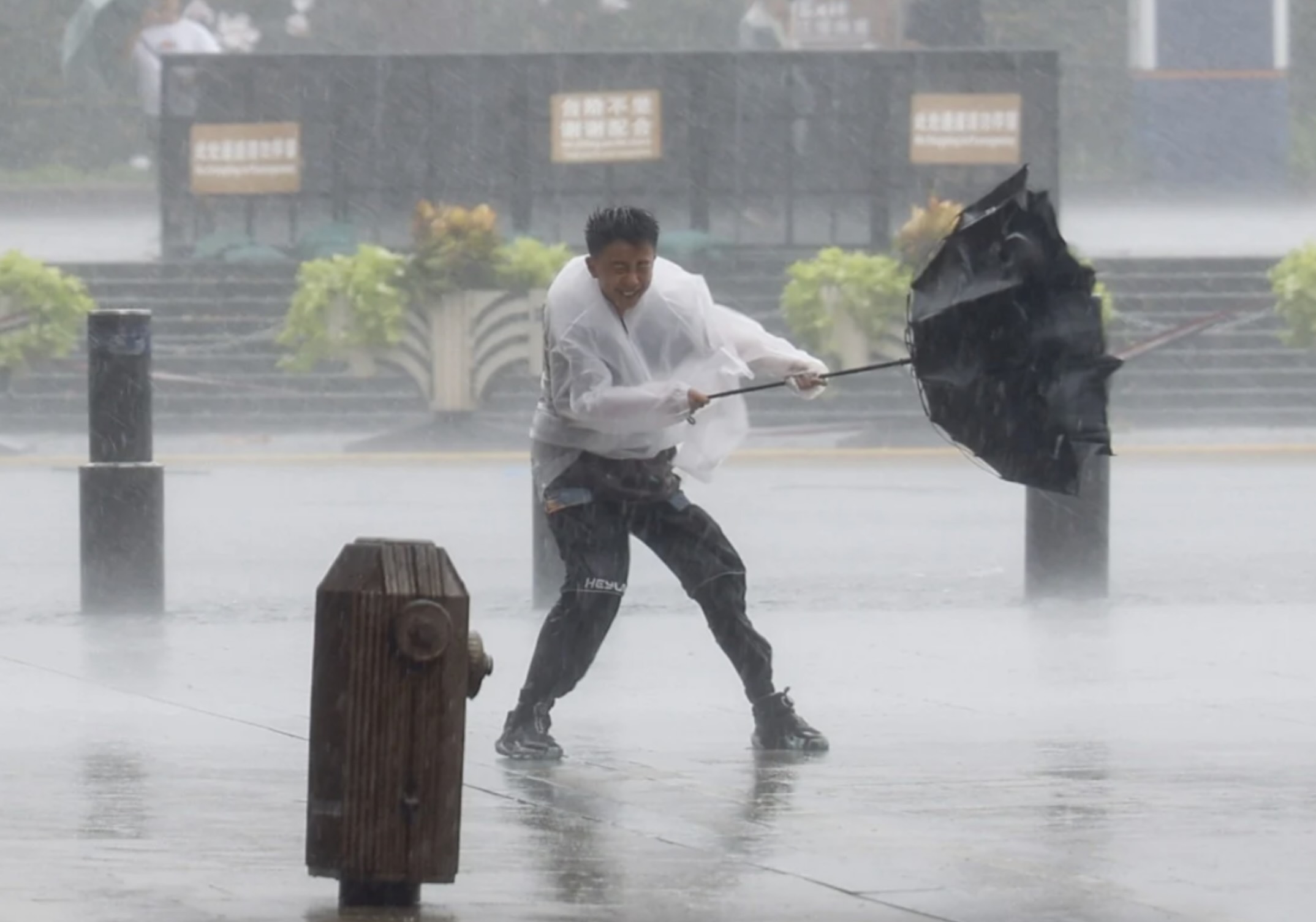 Red Alert: Shanghai Cancels 80% of Flights as Typhoon Dolphin Makes Landfall