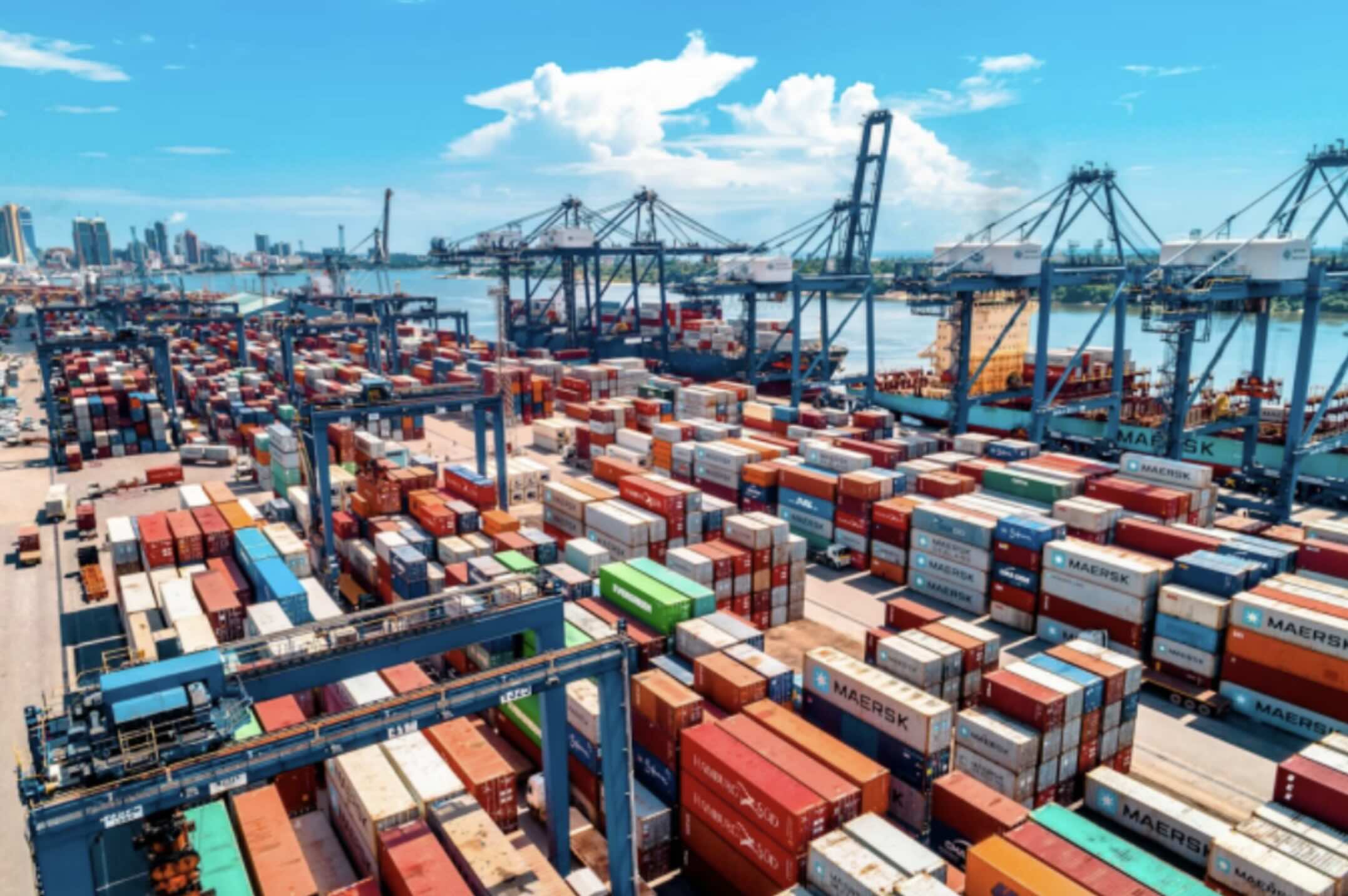 A New Era for Shippers, with Blanked Sailings Now a Fact of Life
