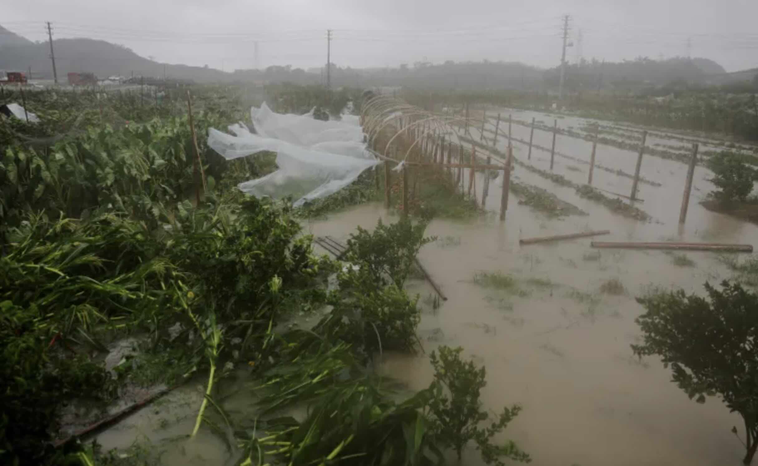 2 Million People Evacuated as Typhoon Makes Landfall in China